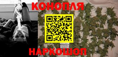 прущие крисы Будённовск