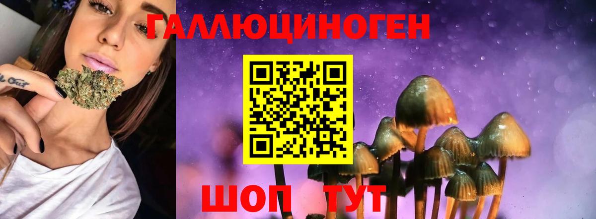Котельники  Псилоцибиновые грибы Psilocybe  Вход с VPN 